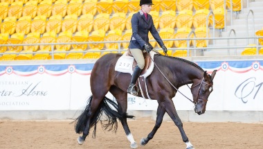 Australian Quarter Horse performer